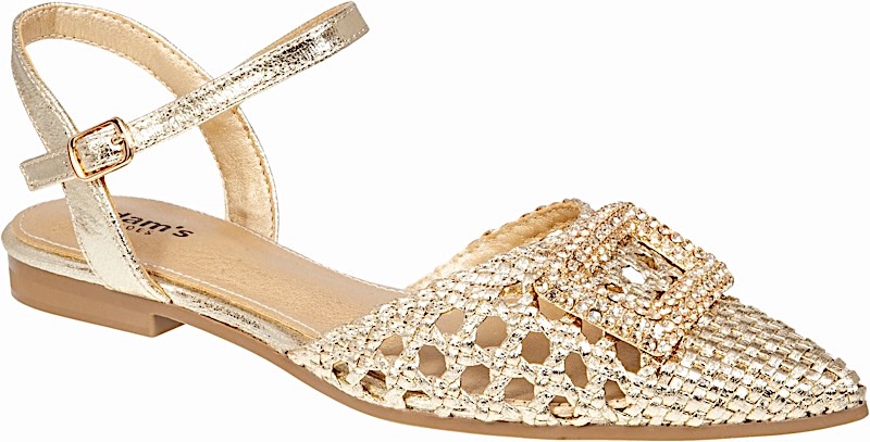 ADAM'S SHOES pointed ballerina